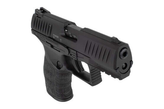 Walther PPQ M2 .22lr striker fired handgun features adjustable sights